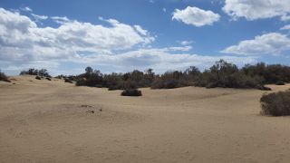 2023-GC--Mapalomas dunas-S123-048.jpg